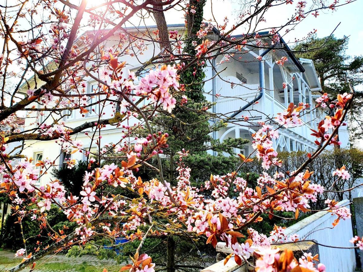 Villa Asta Binz Esterno foto