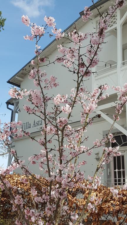 Villa Asta Binz Esterno foto